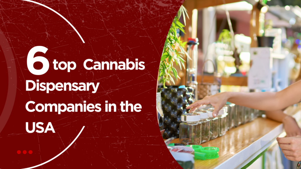 Top 6 Cannabis Dispensary Companies in the USA